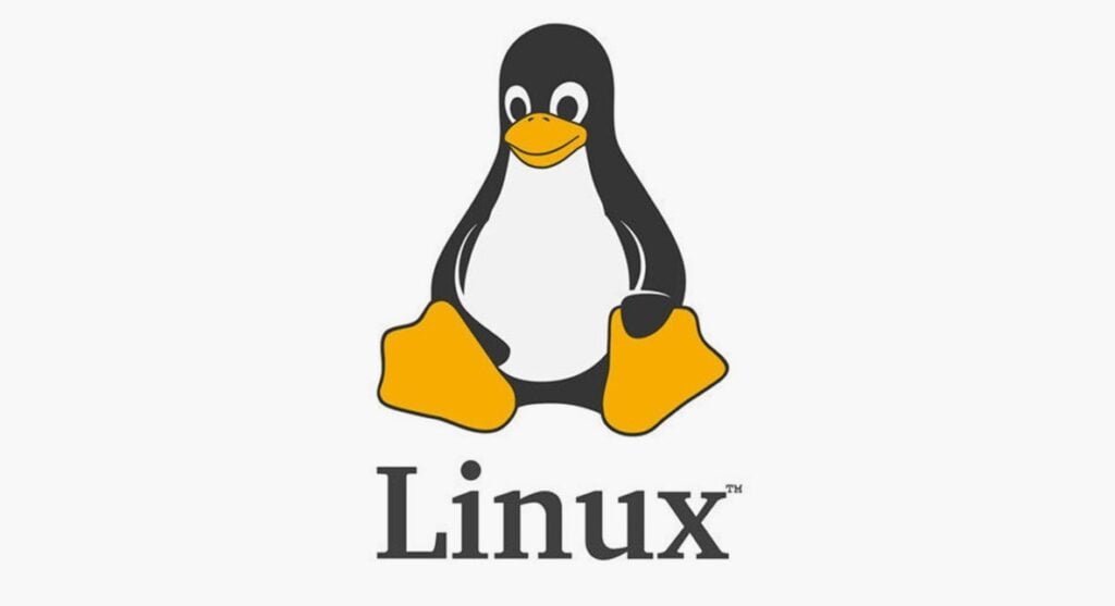 Linux Commands and Explanations: The Complete Guide for Beginners and Advanced Users